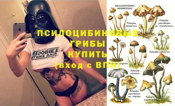 эйфоретик Балахна