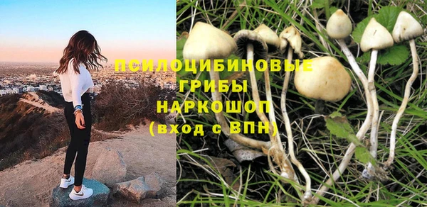 эйфоретик Балахна