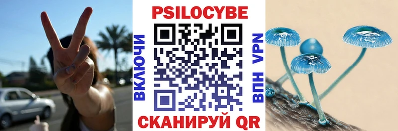 наркота  Семилуки  Псилоцибиновые грибы Magic Shrooms 