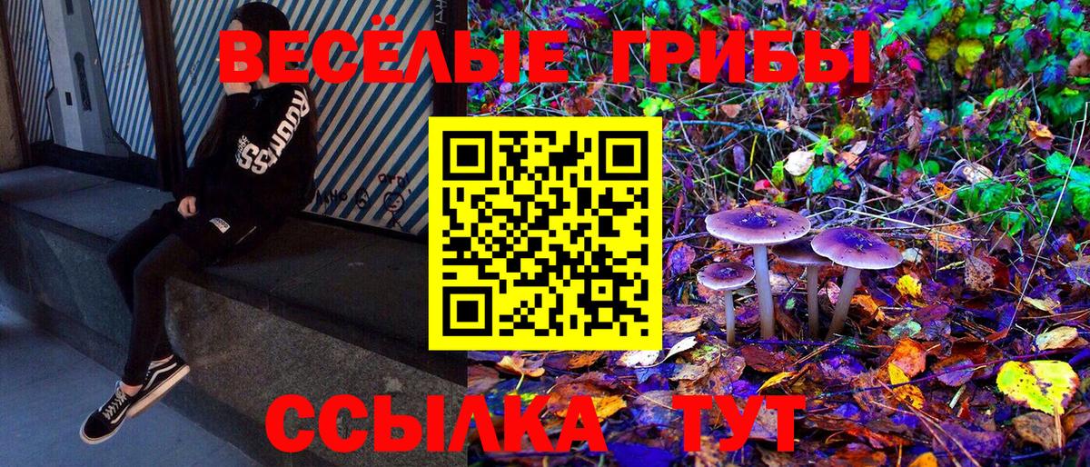 Псилоцибиновые грибы MAGIC MUSHROOMS Семилуки