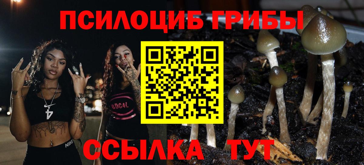 Семилуки  закладки  Псилоцибиновые грибы мухоморы  Вход с VPN  Псилоцибиновые грибы Magic Shrooms 